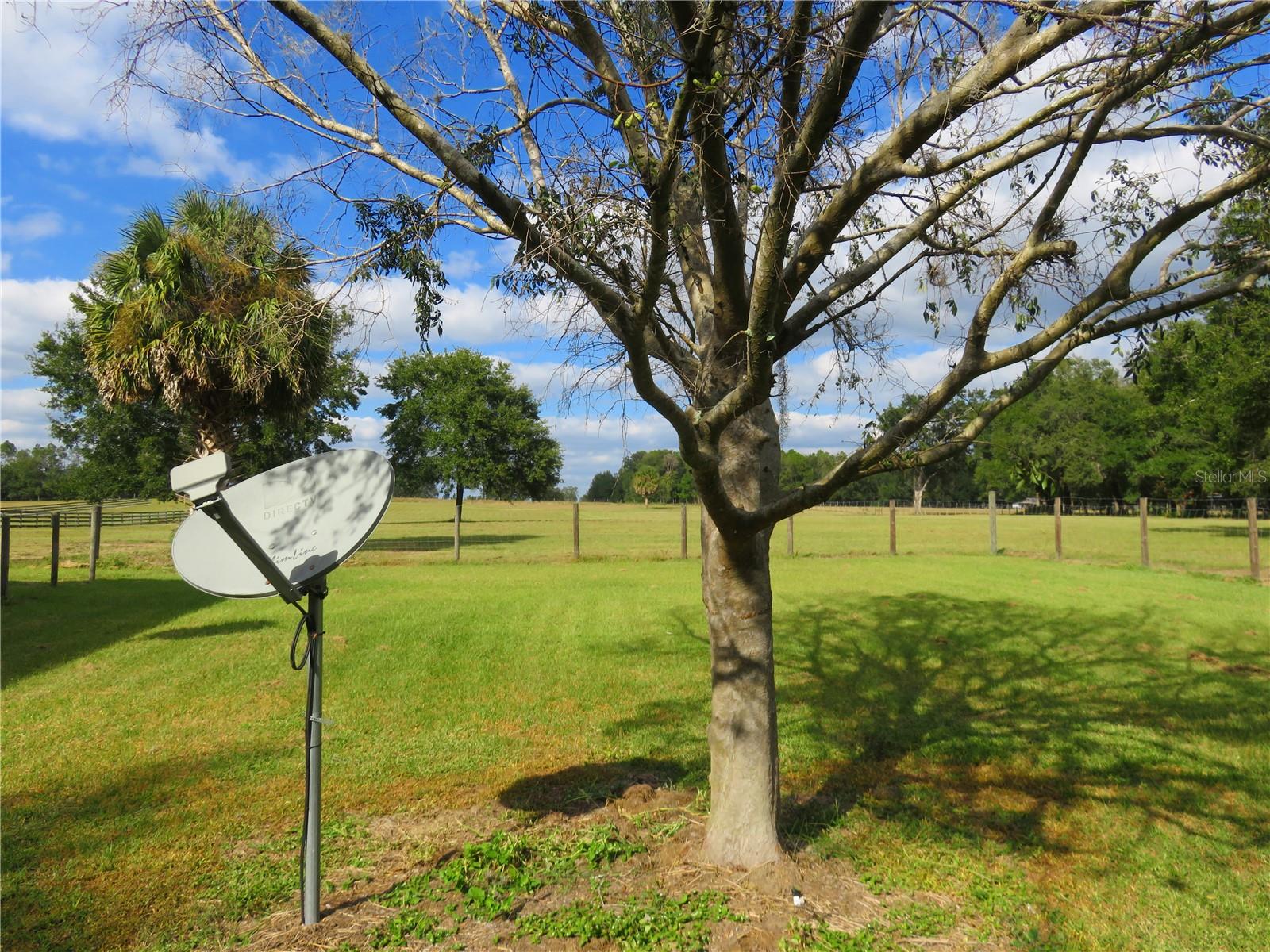 Image 50 of 54 For 40220 Bowtie Drive