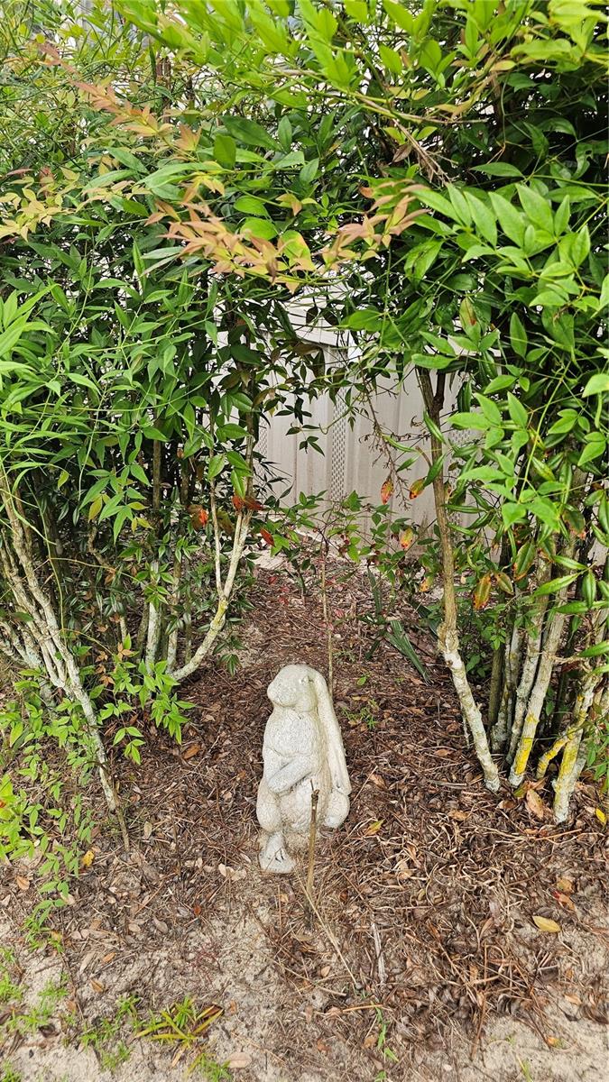 Image 51 of 54 For 40220 Bowtie Drive