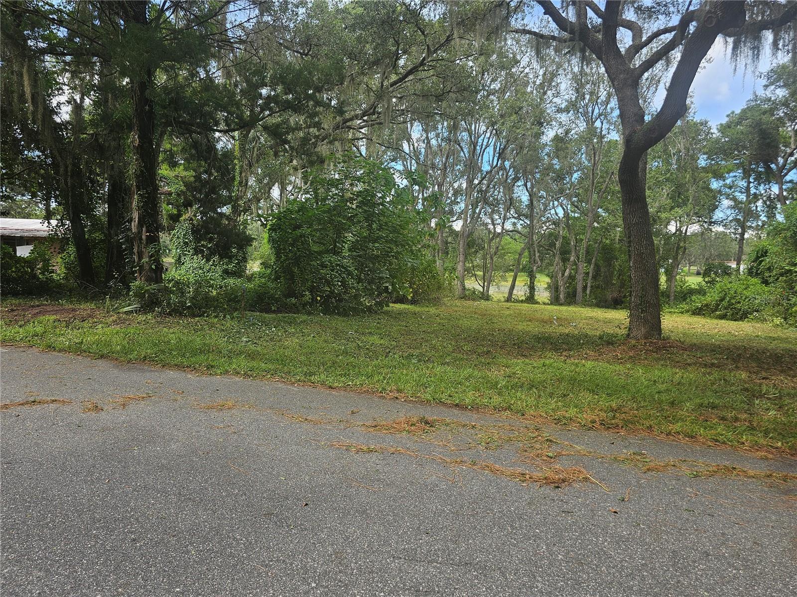 Details for 16951 65th Street, OCKLAWAHA, FL 32179