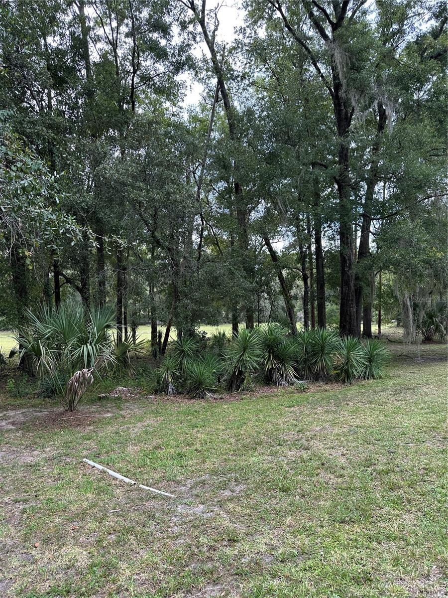 Image 31 of 38 For 9221 193rd Circle