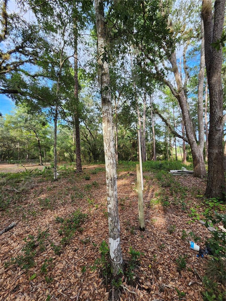 Image 2 of 8 For Vacant Land - Parcel 16579-000