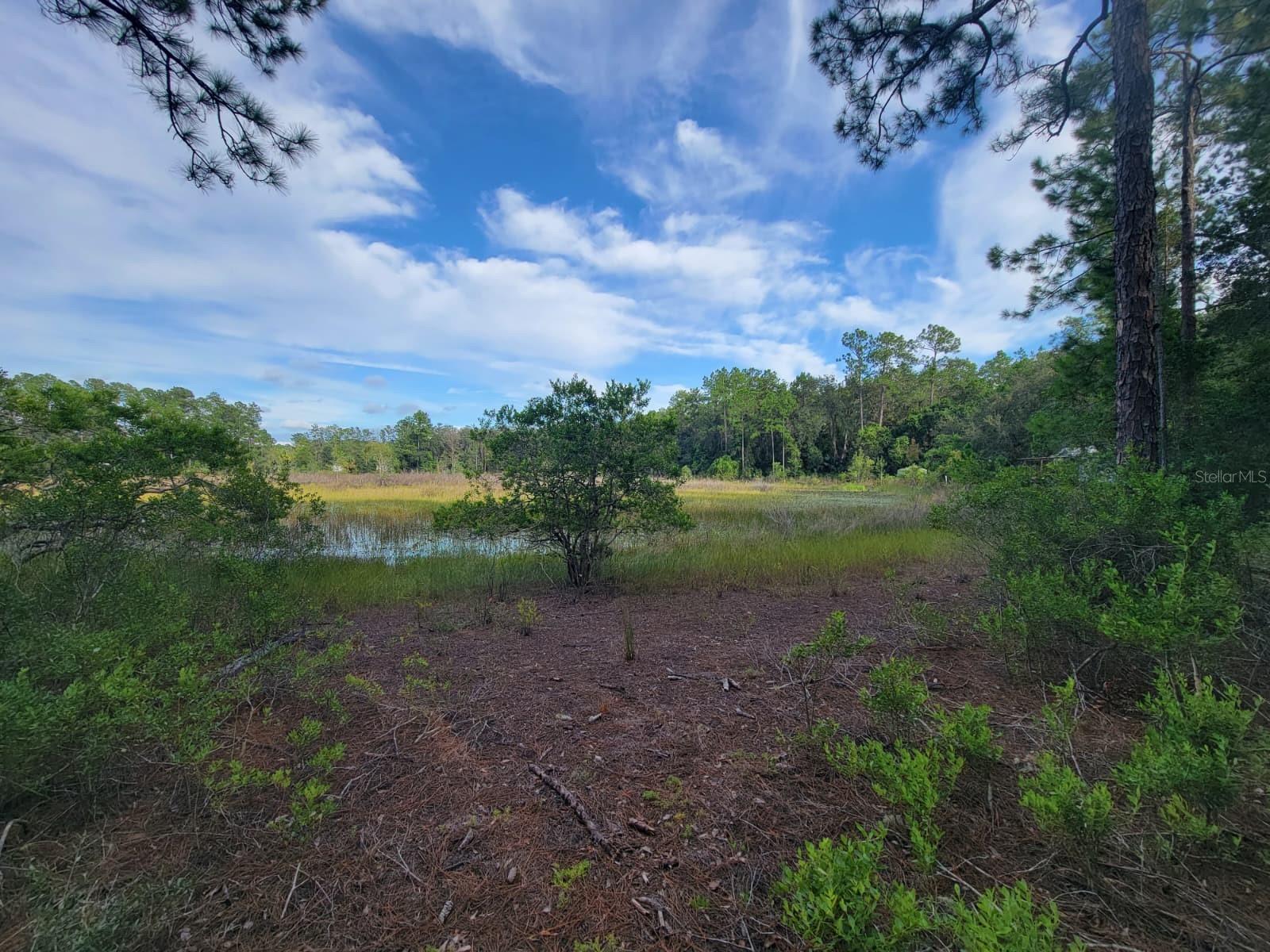 Image 4 of 8 For Vacant Land - Parcel 16579-000
