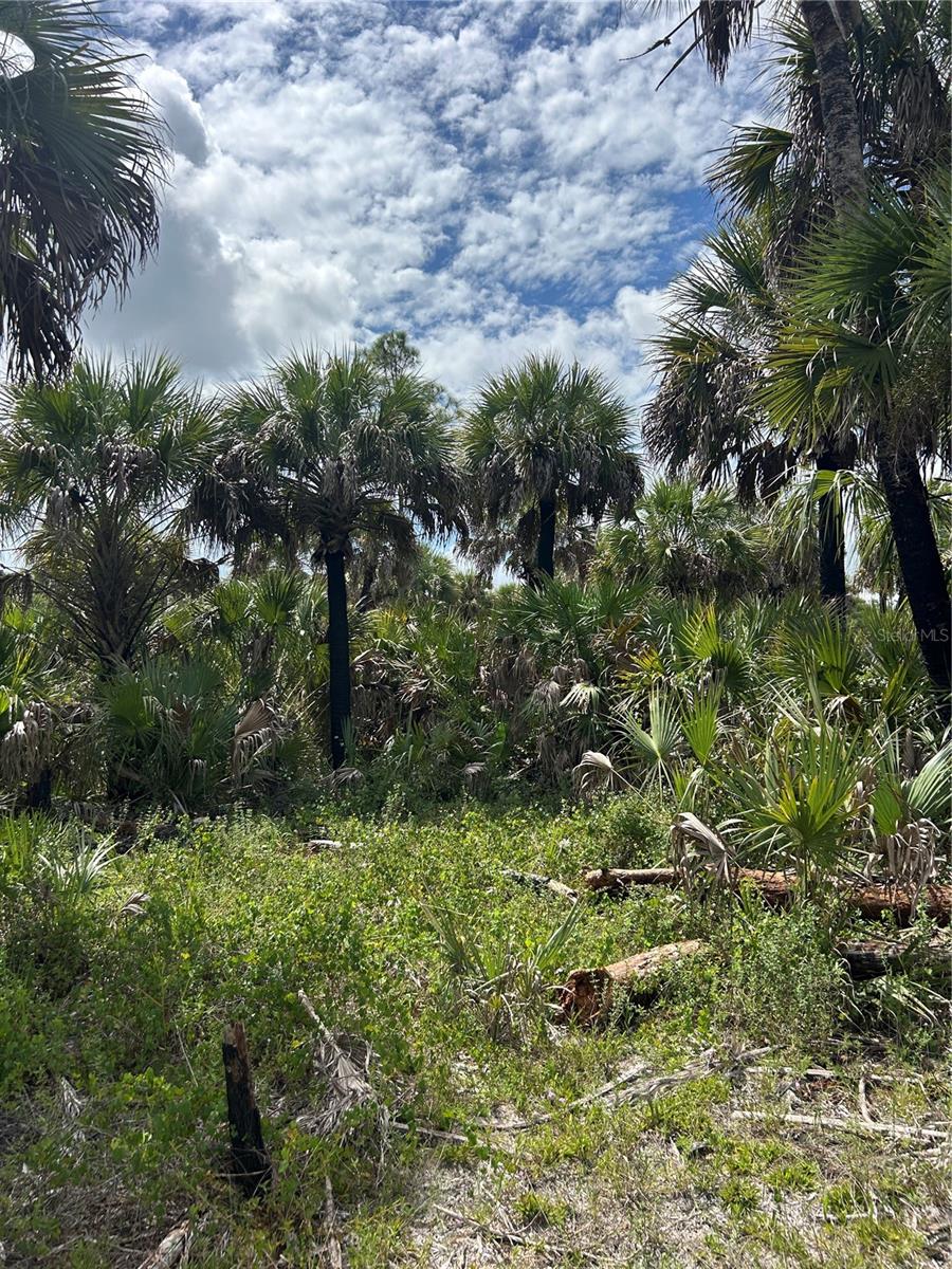 Image 11 of 46 For  N-a  