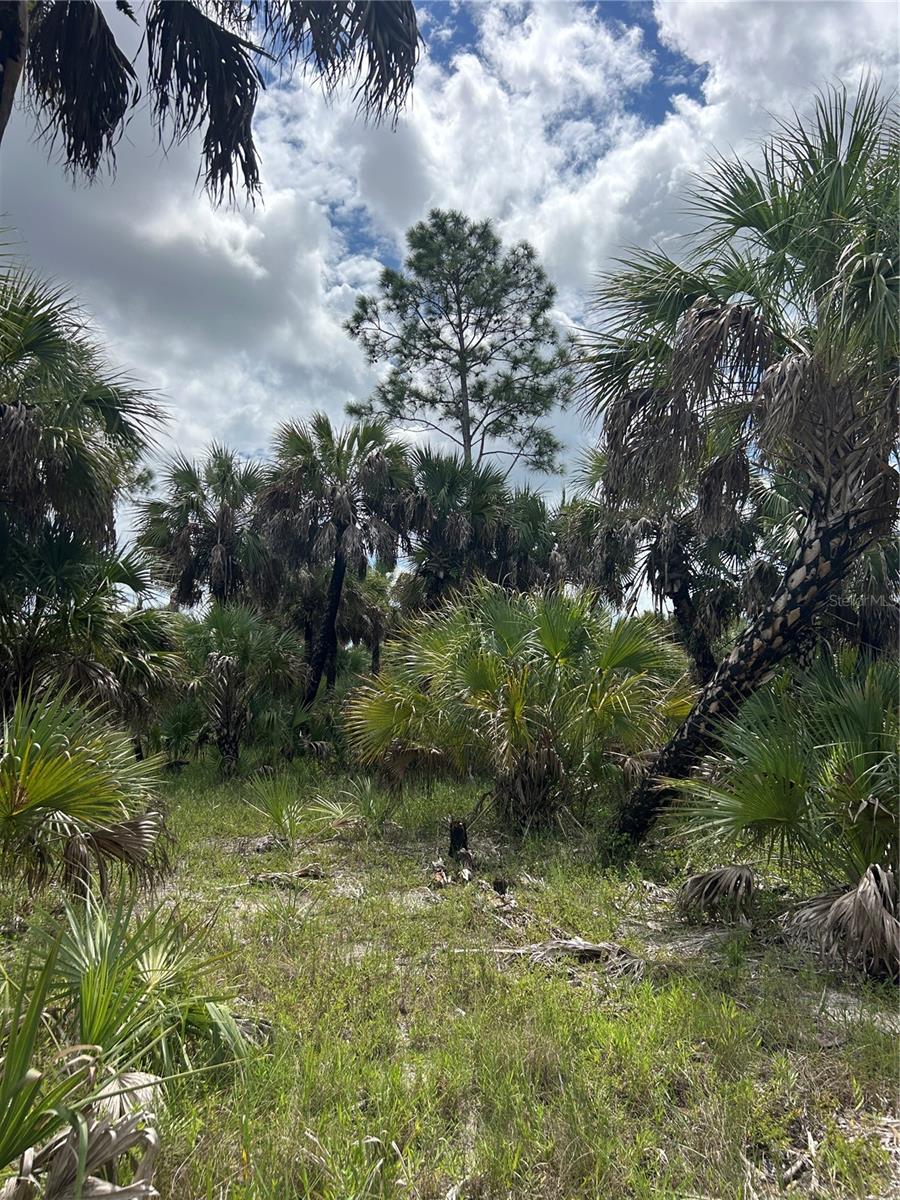 Image 14 of 46 For  N-a  