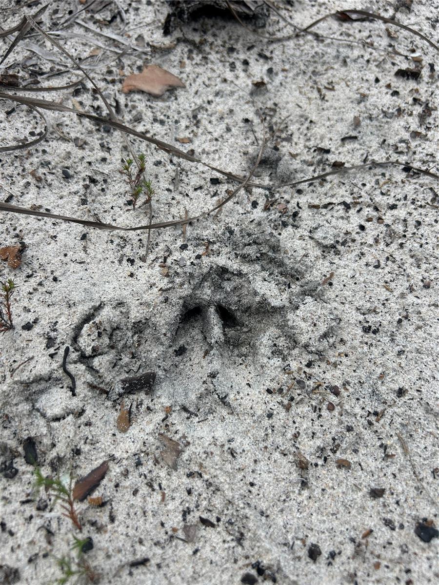 Image 15 of 46 For  N-a  