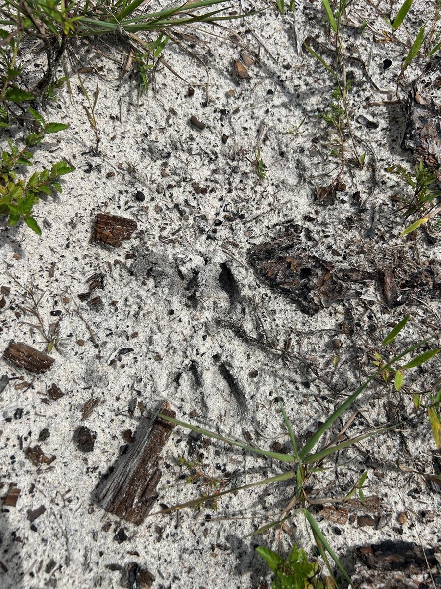 Image 17 of 46 For  N-a  