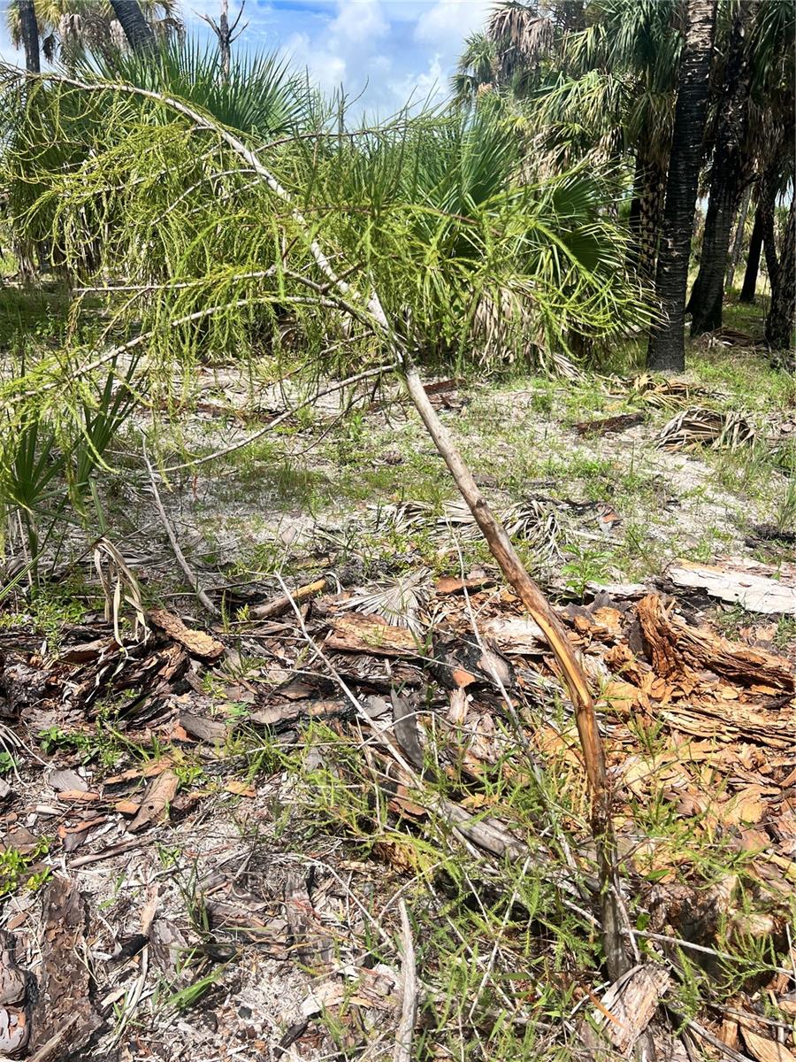 Image 20 of 46 For  N-a  