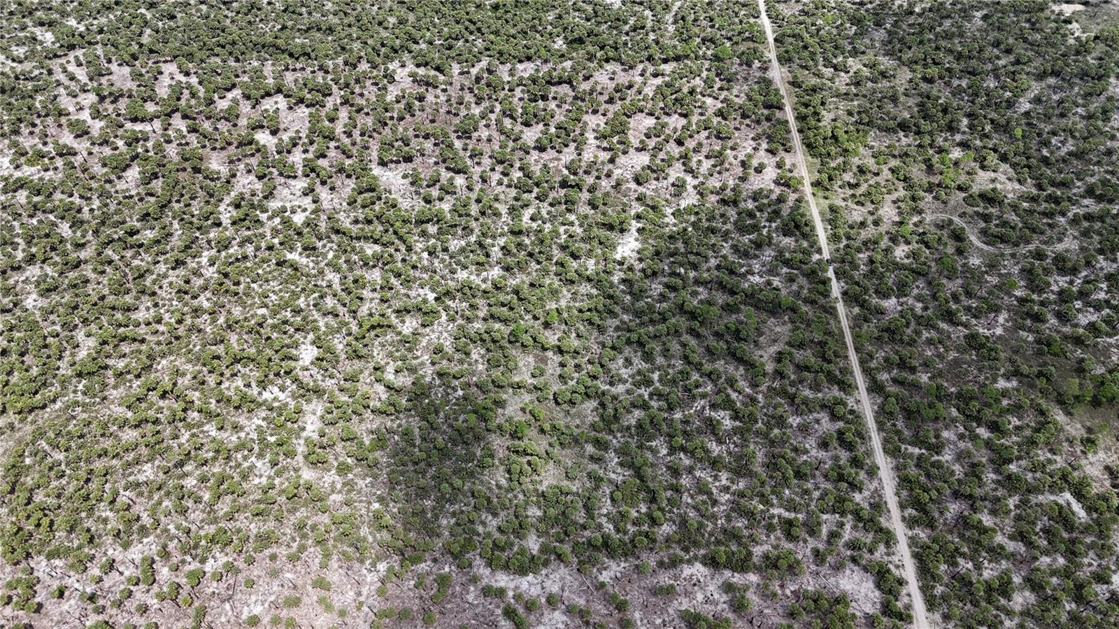 Image 35 of 46 For  N-a  