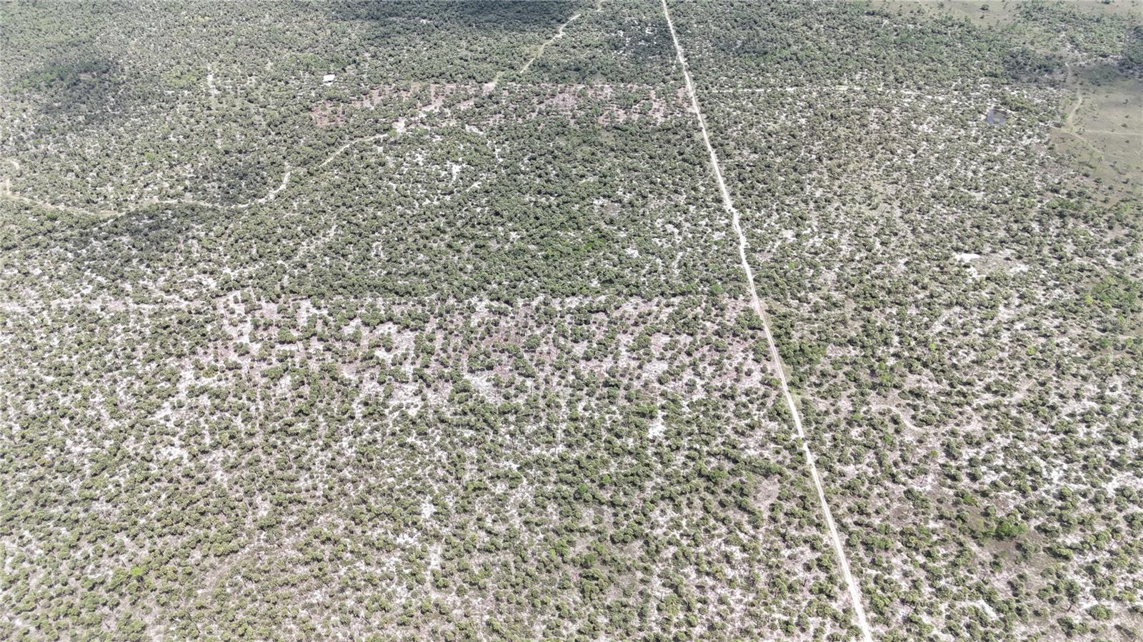 Image 37 of 46 For  N-a  