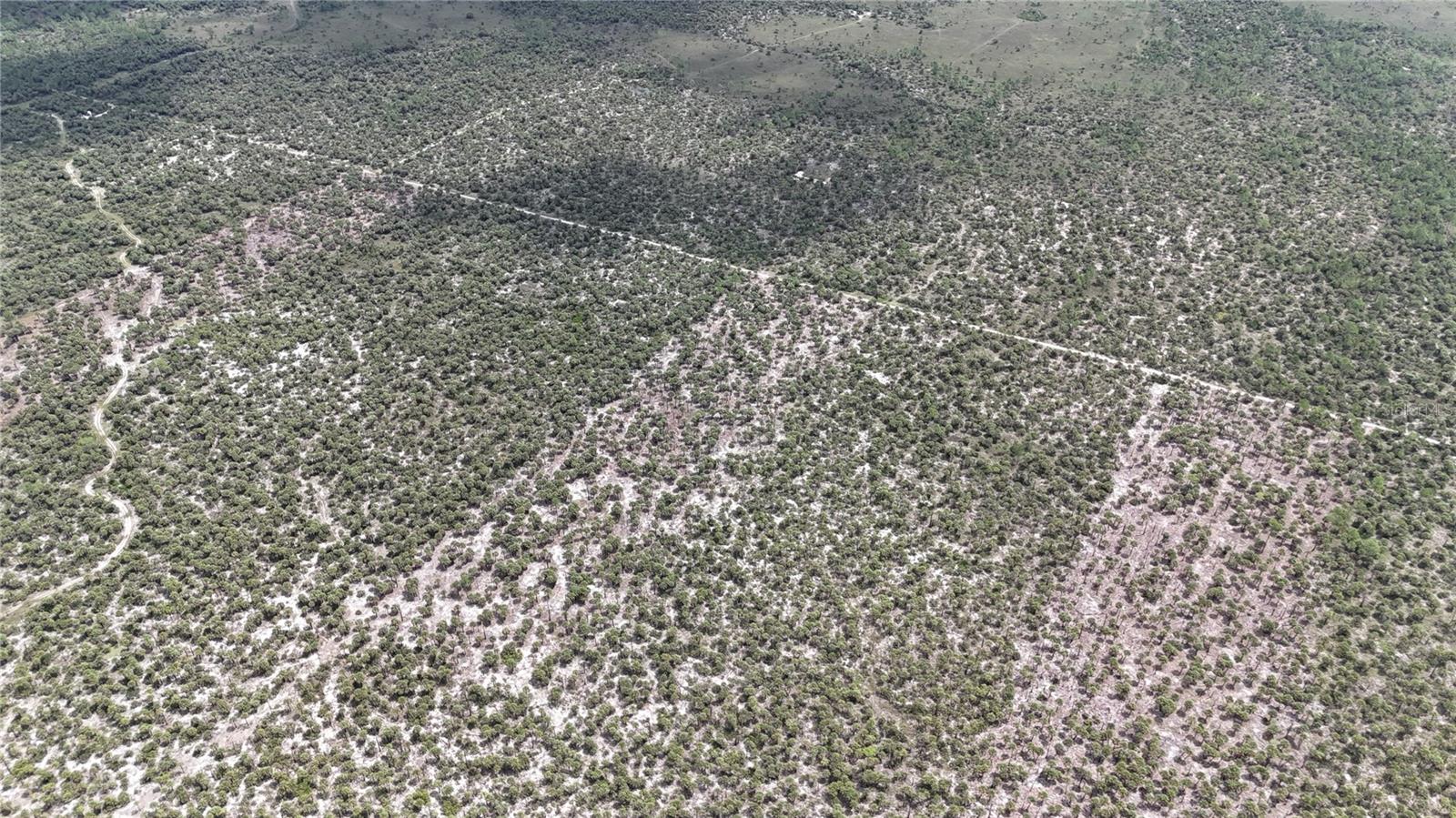 Image 39 of 46 For  N-a  