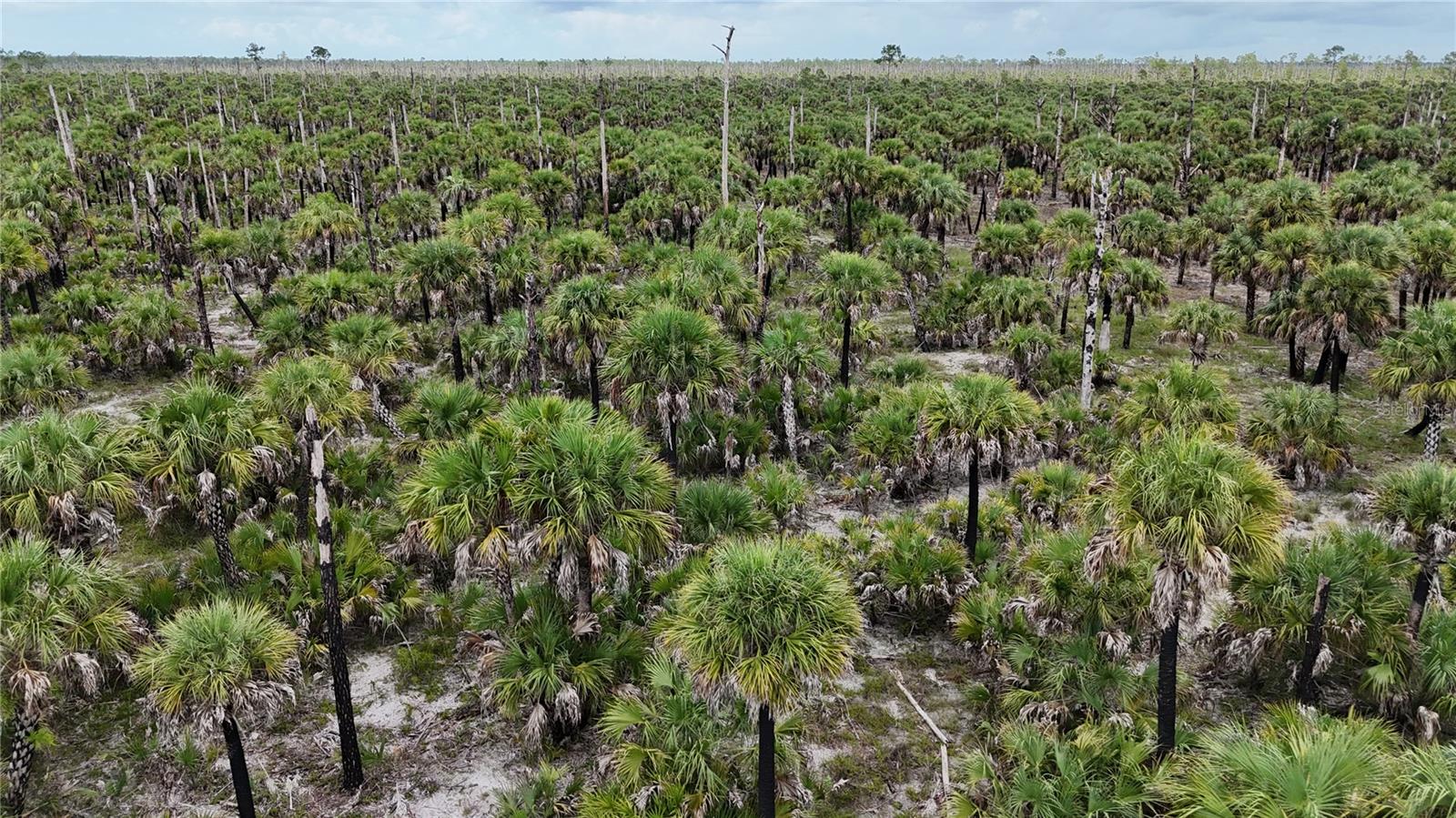 Image 4 of 46 For  N-a  