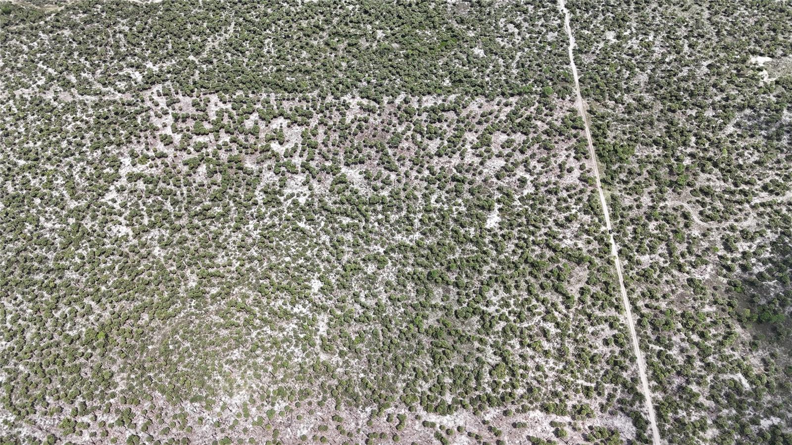 Image 41 of 46 For  N-a  