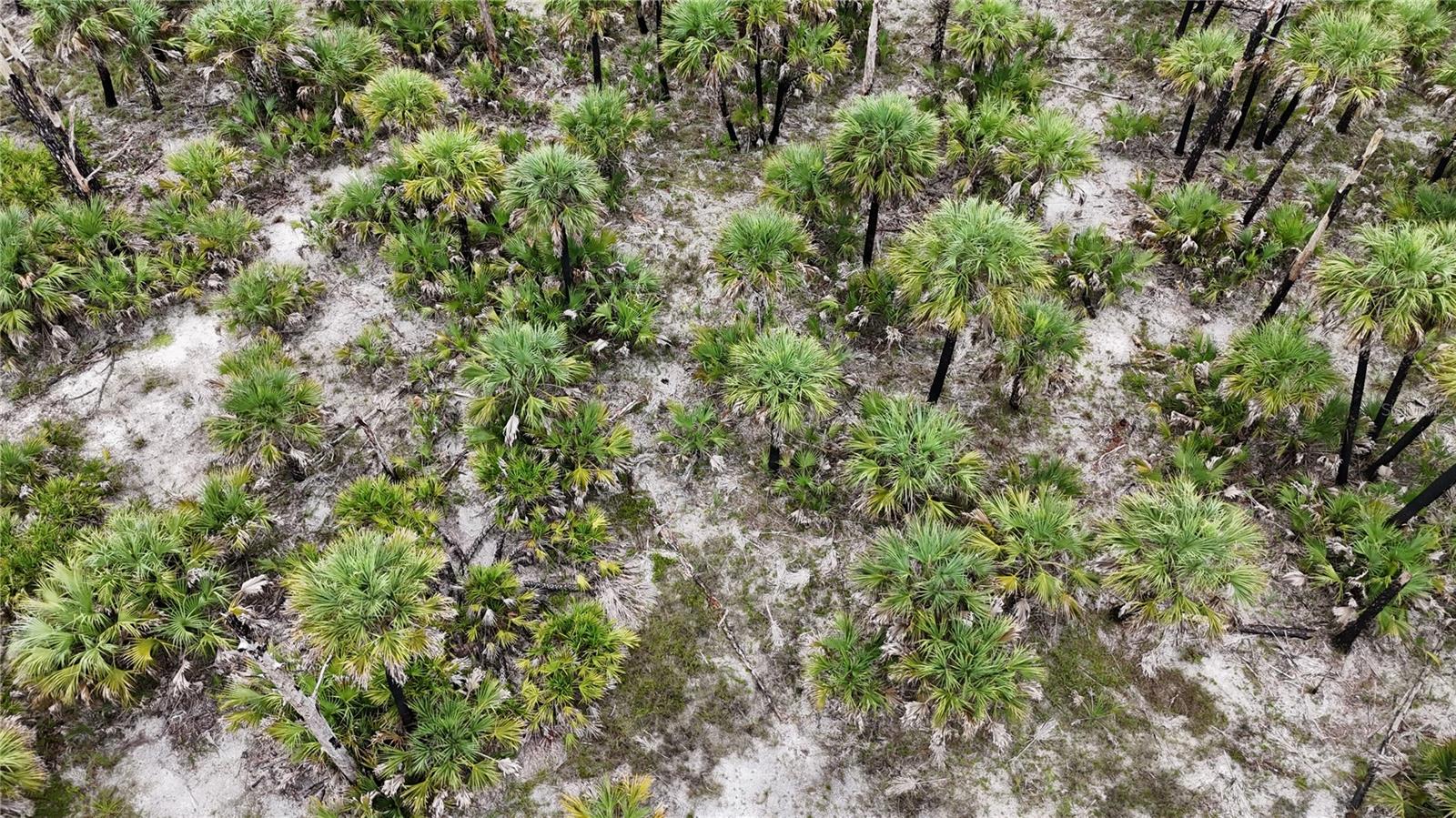 Image 5 of 46 For  N-a  