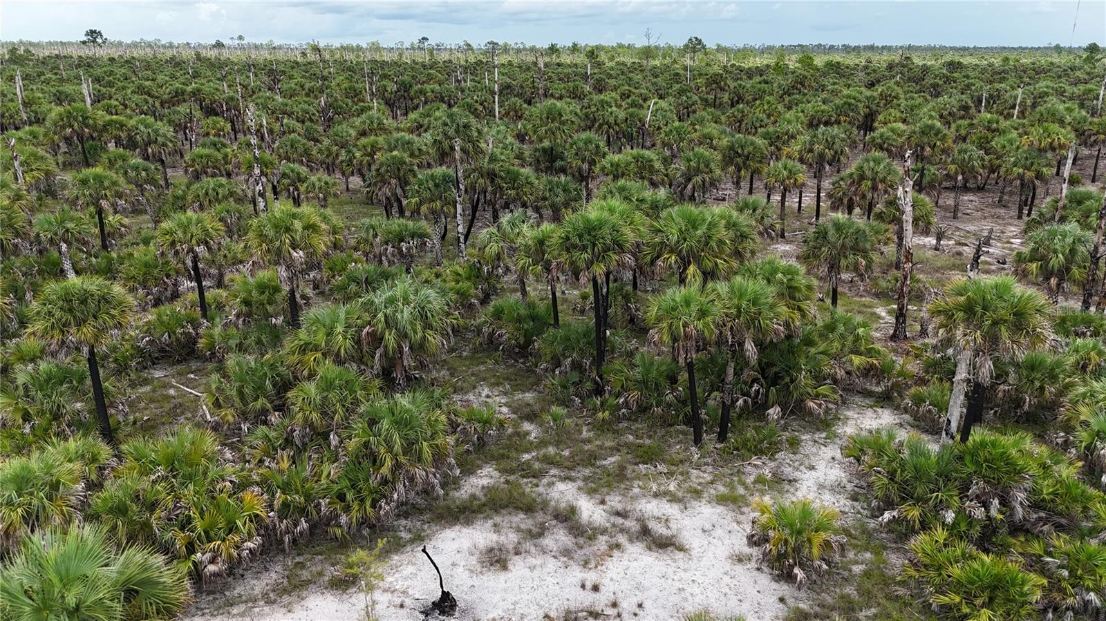 Image 6 of 46 For  N-a  