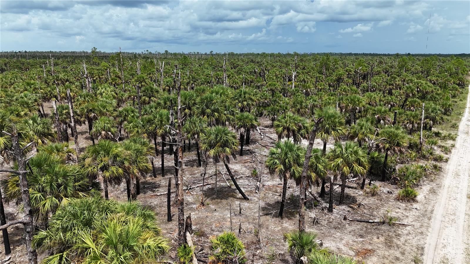 Image 7 of 46 For  N-a  