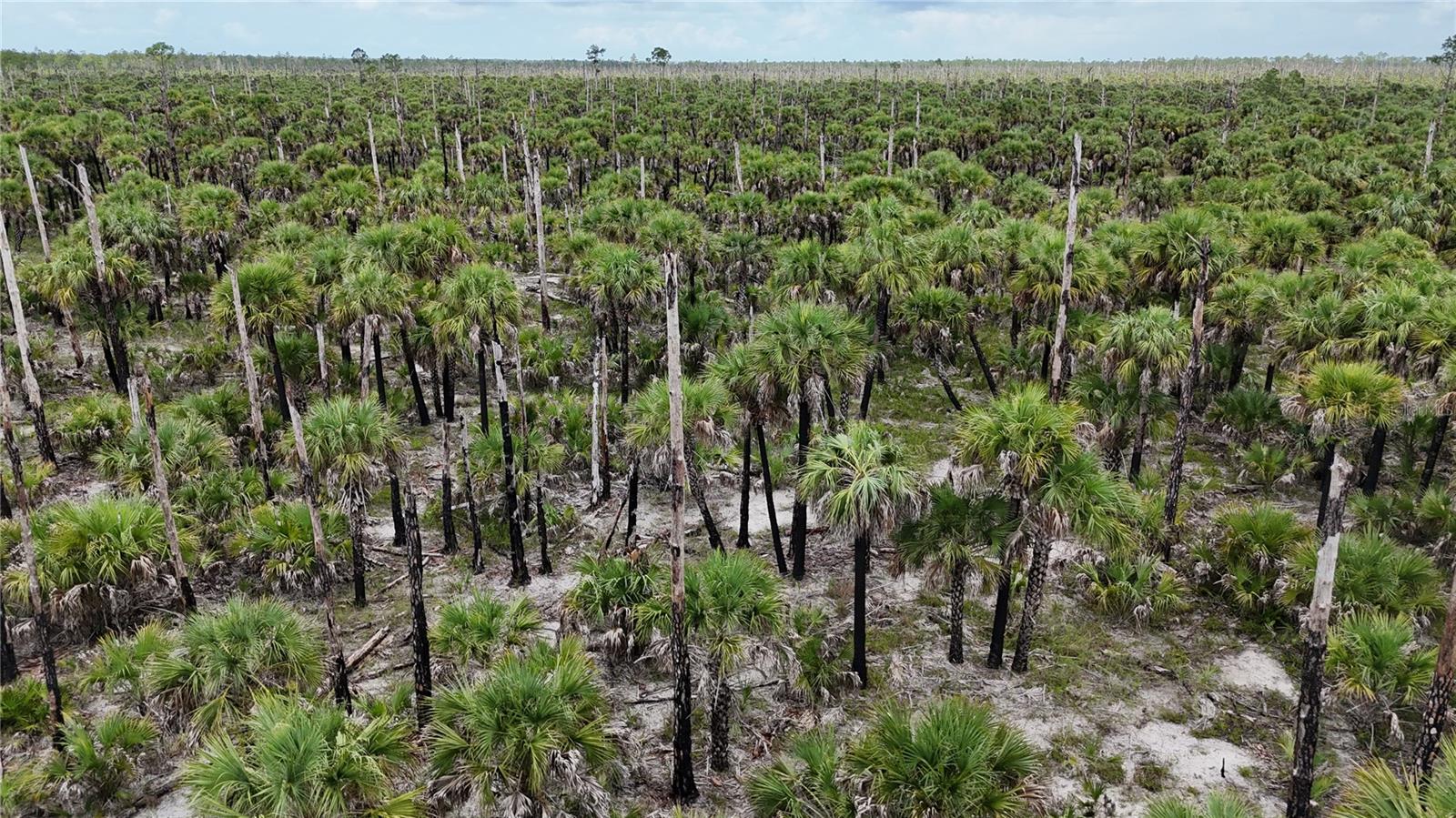 Image 8 of 46 For  N-a  