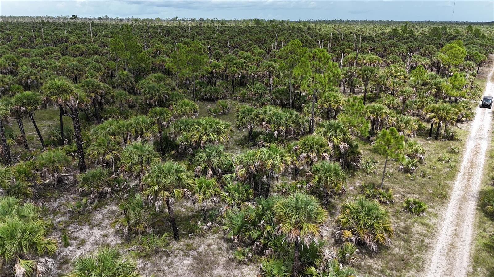 Image 9 of 46 For  N-a  