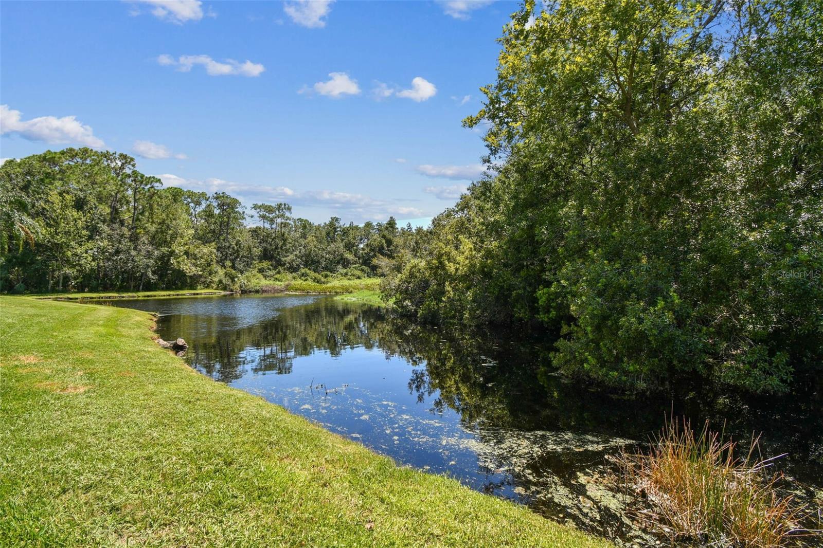 Image 27 of 95 For 9408 Edenton Way
