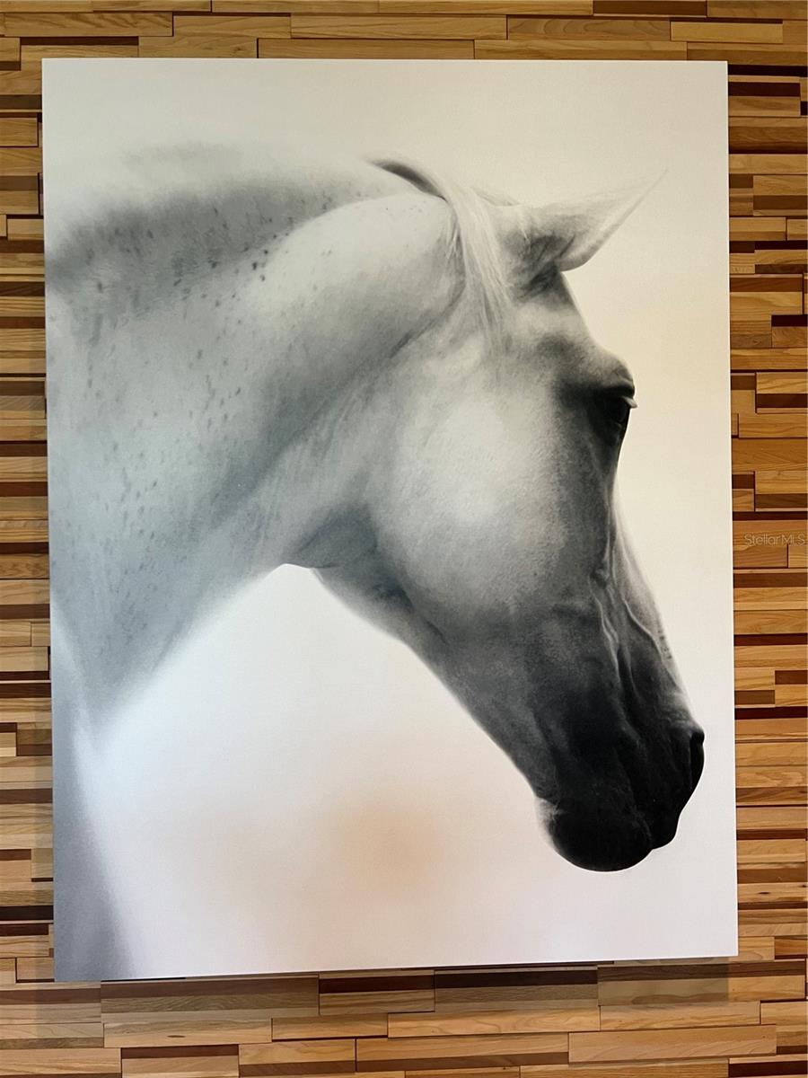 Image 47 of 49 For 4701 51st Terrace Road