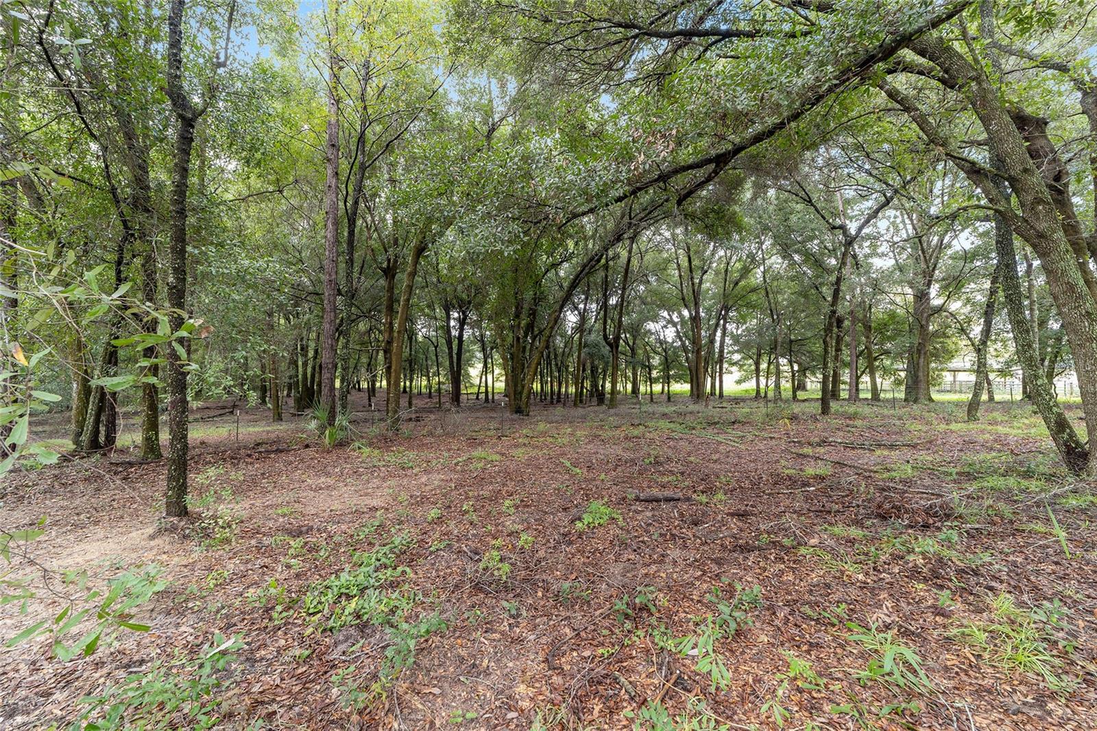Image 44 of 52 For 20490 27th Street