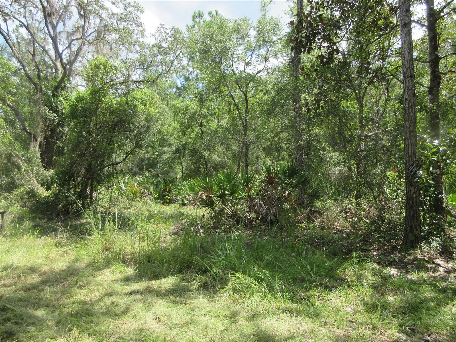 Image 10 of 58 For 13820 46th Street