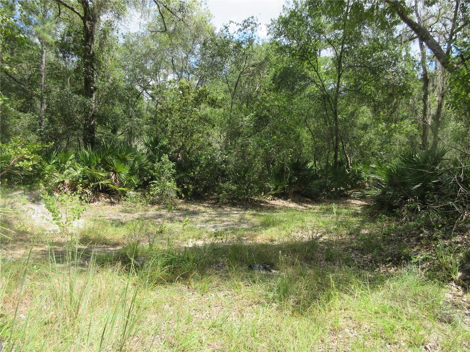 Image 11 of 58 For 13820 46th Street