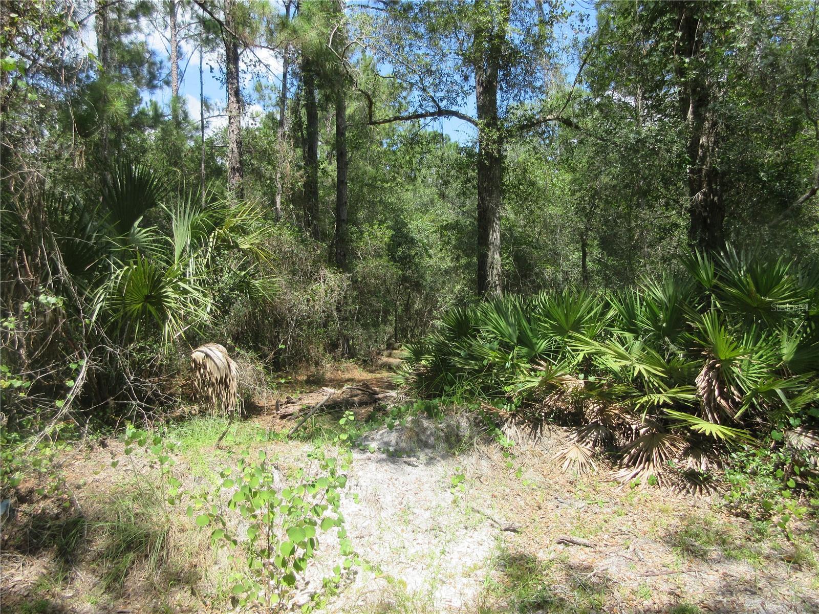 Image 12 of 58 For 13820 46th Street