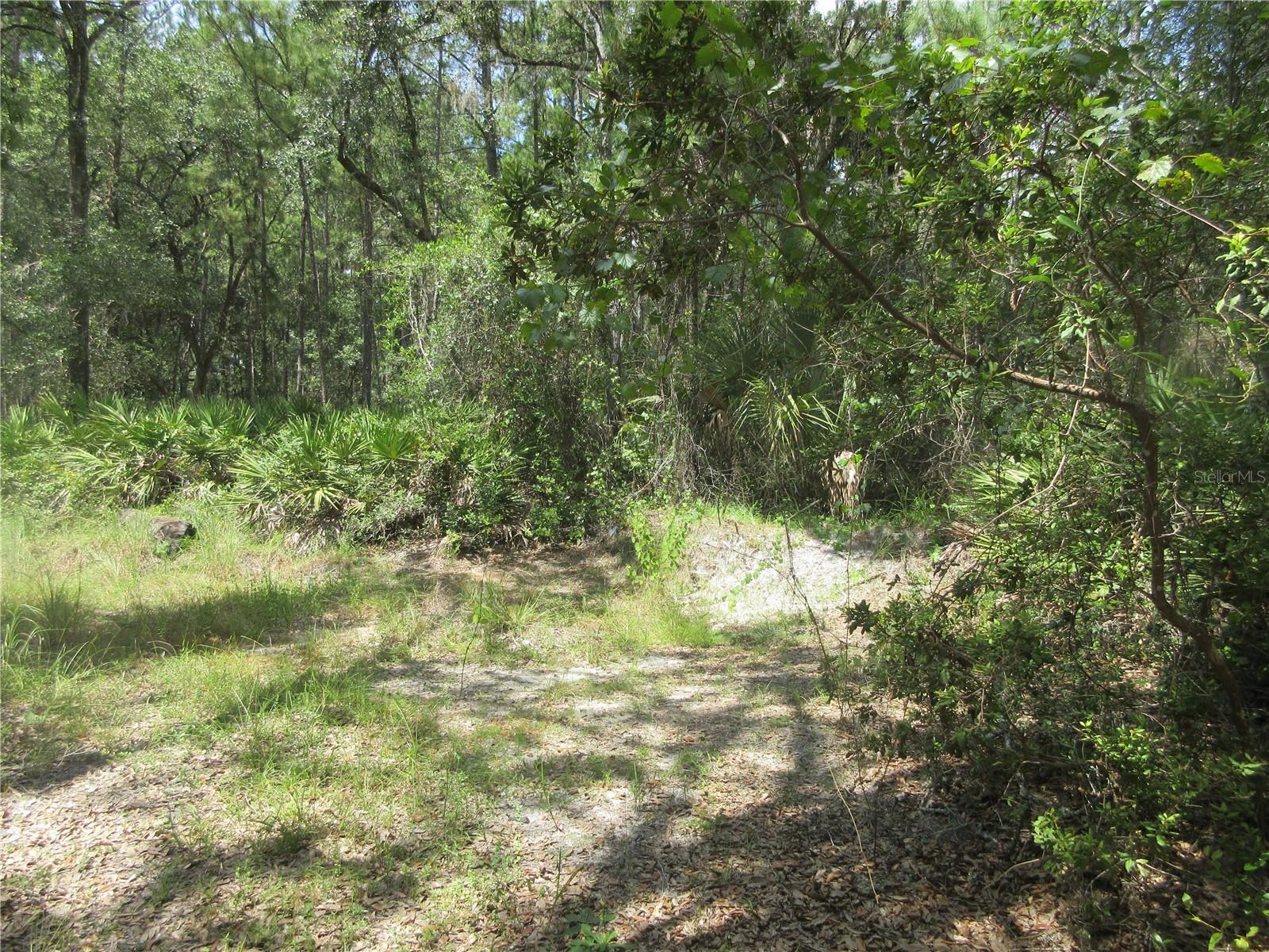 Image 15 of 58 For 13820 46th Street