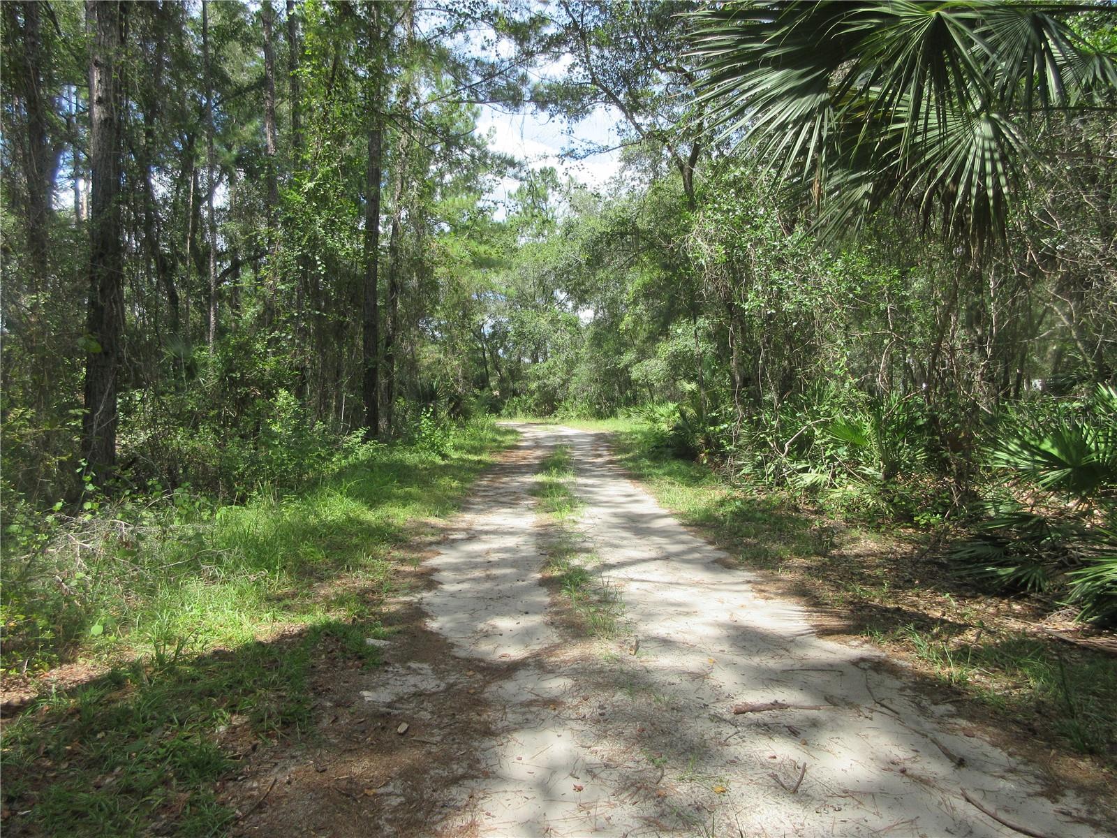 Image 8 of 58 For 13820 46th Street