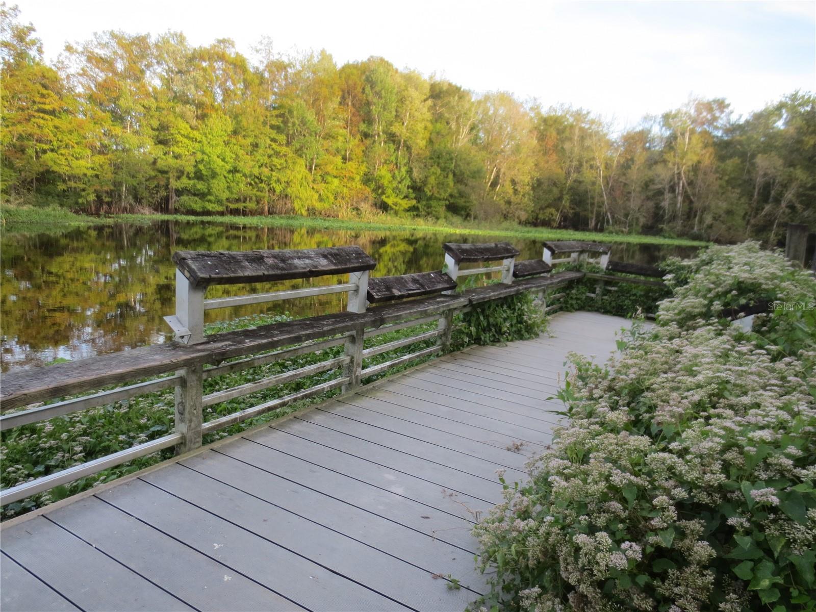 Image 30 of 48 For Tbd 19th Street