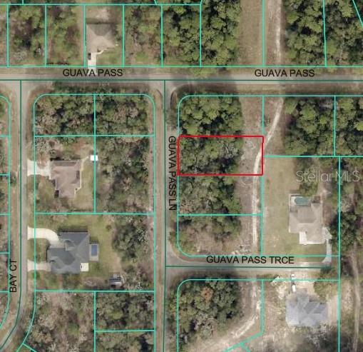 Details for Guava Pass Lane, OCKLAWAHA, FL 32179