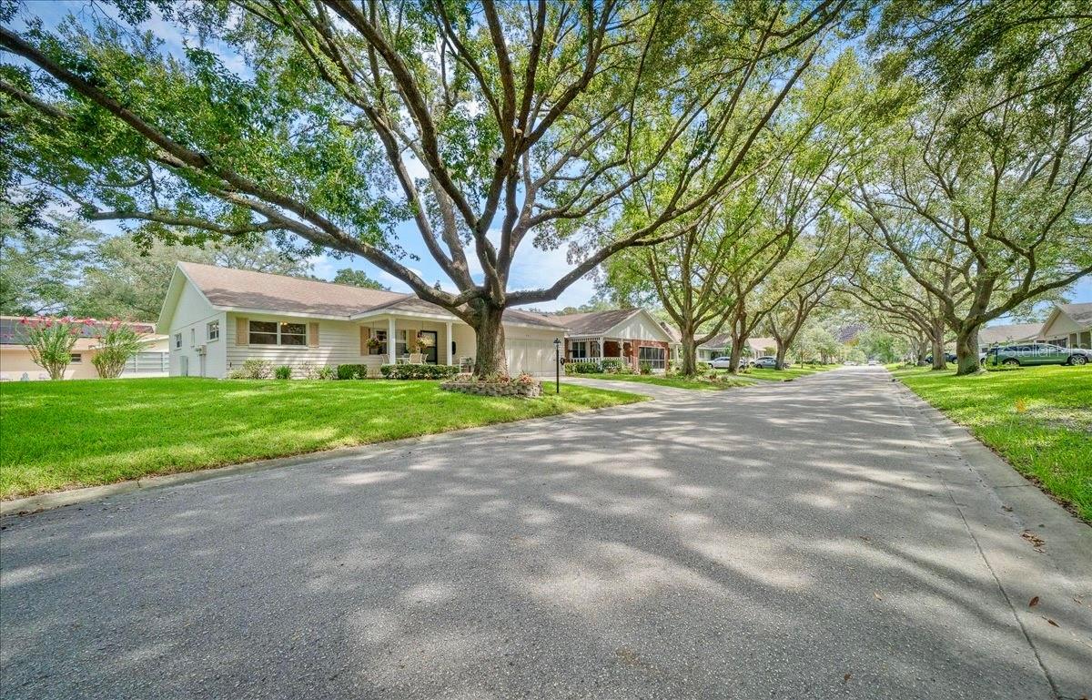Image 2 of 45 For 8715 97th Street A