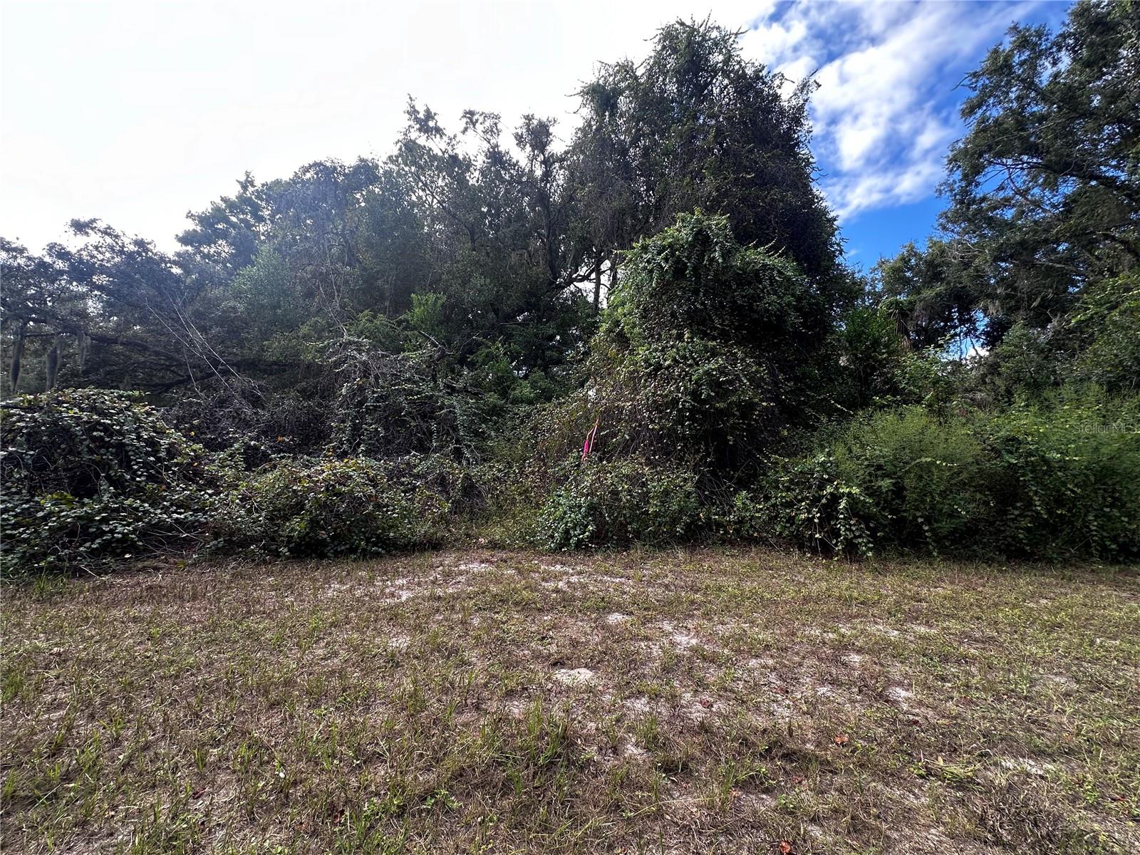 Image 3 of 29 For 722 Highway 40 W