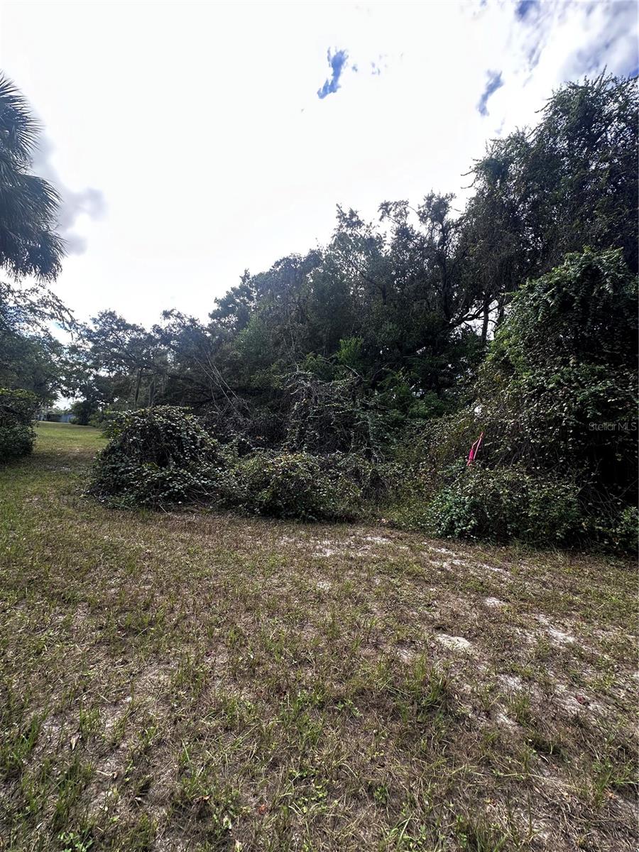 Image 4 of 29 For 722 Highway 40 W
