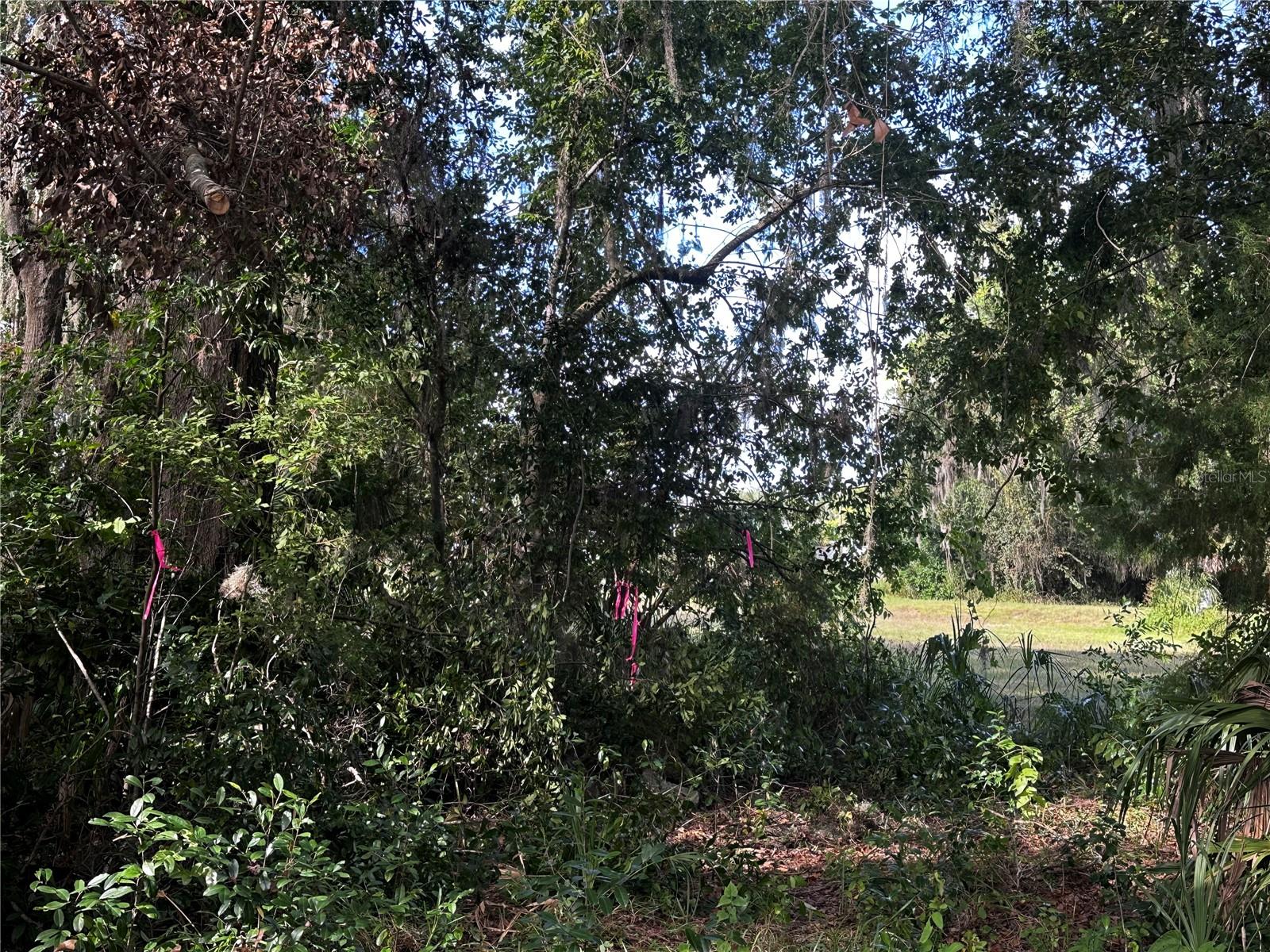 Image 6 of 29 For 722 Highway 40 W