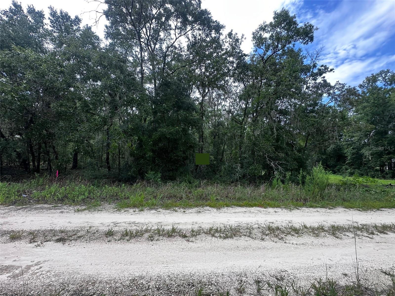 Details for 155th Terrace Ne, WILLISTON, FL 32696