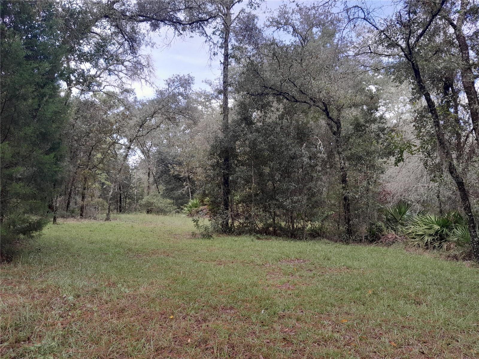 Image 11 of 45 For 12591 75th Street