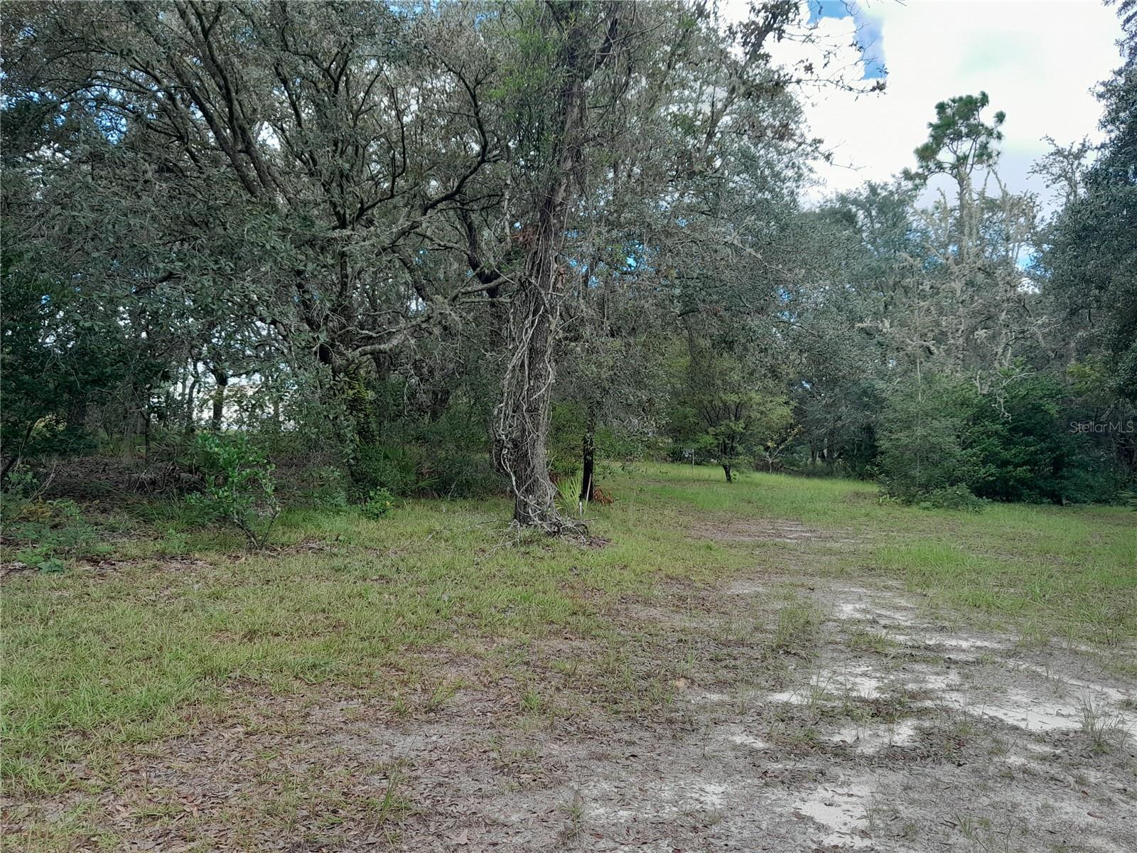 Image 13 of 45 For 12591 75th Street