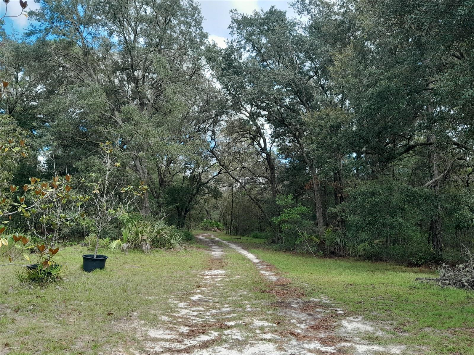 Image 9 of 45 For 12591 75th Street