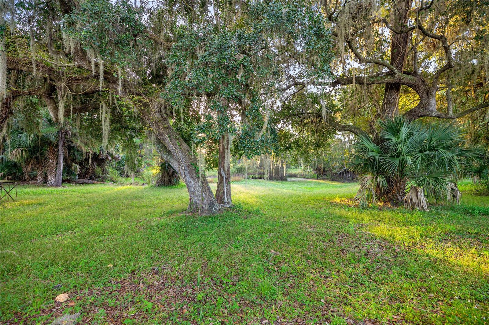 Image 4 of 24 For 17545 39th Court