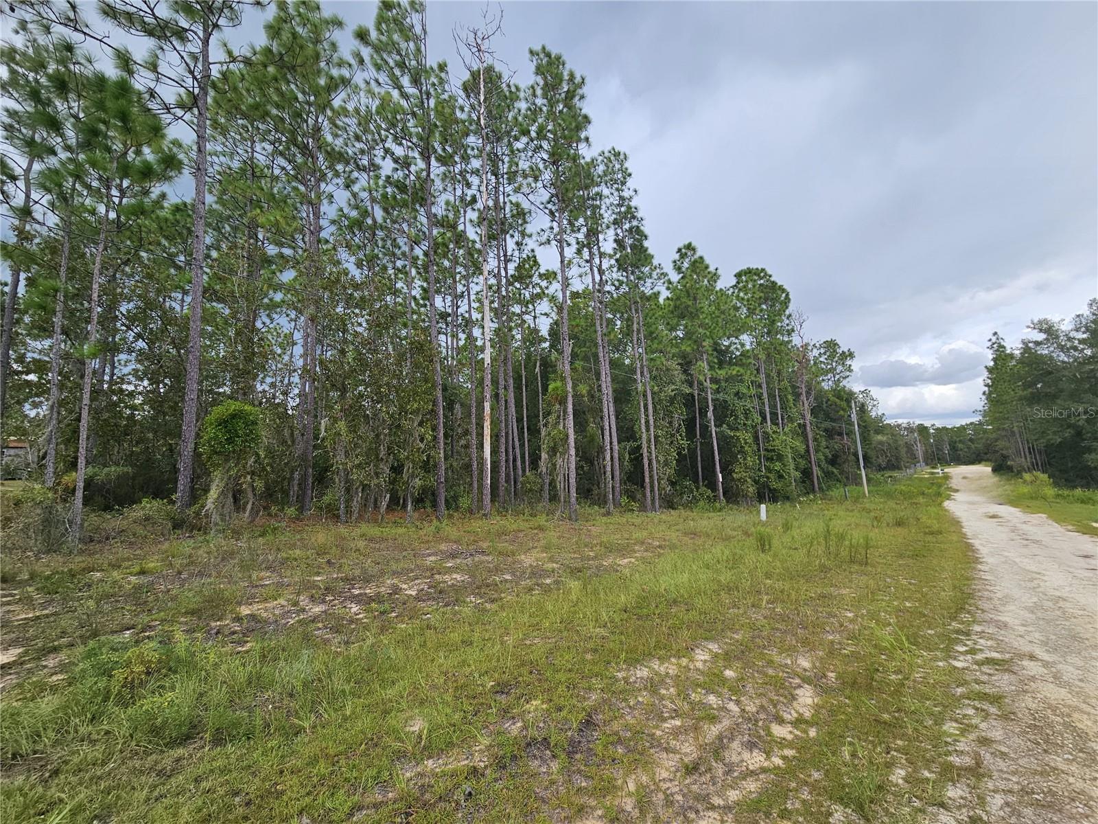 Details for 11730 101st Terrace, ARCHER, FL 32618