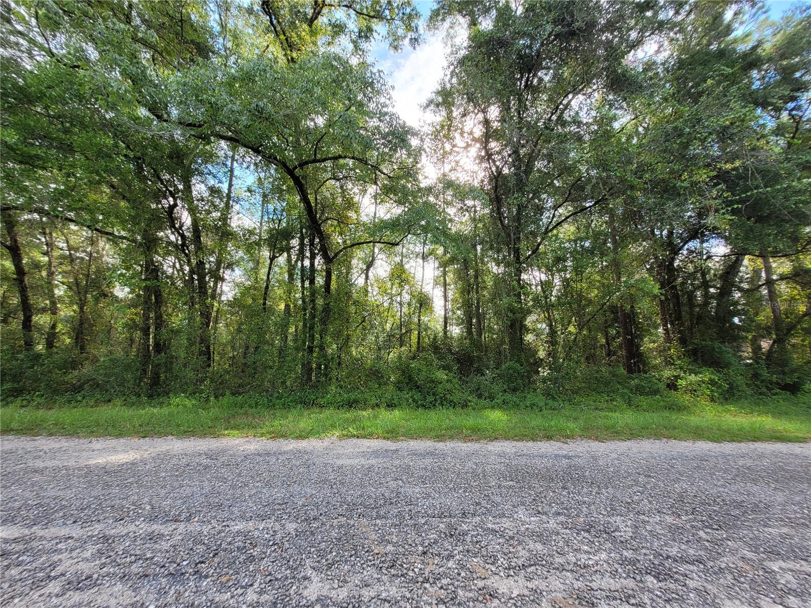 Image 2 of 11 For 8827 Pelican Terrace