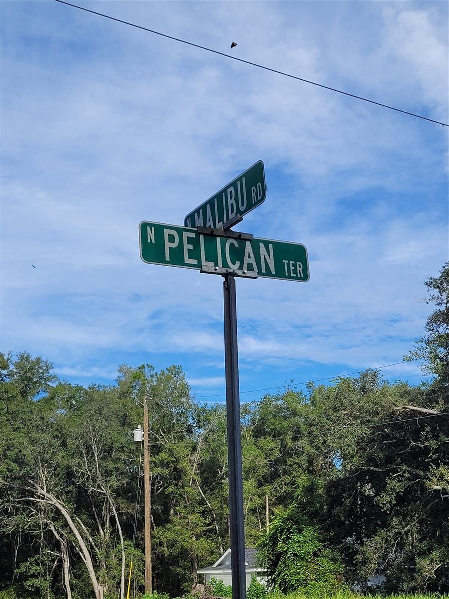 Image 3 of 11 For 8839 Pelican Terrace