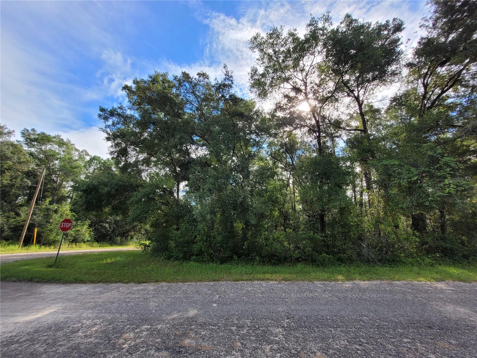 Image 7 of 11 For 8839 Pelican Terrace