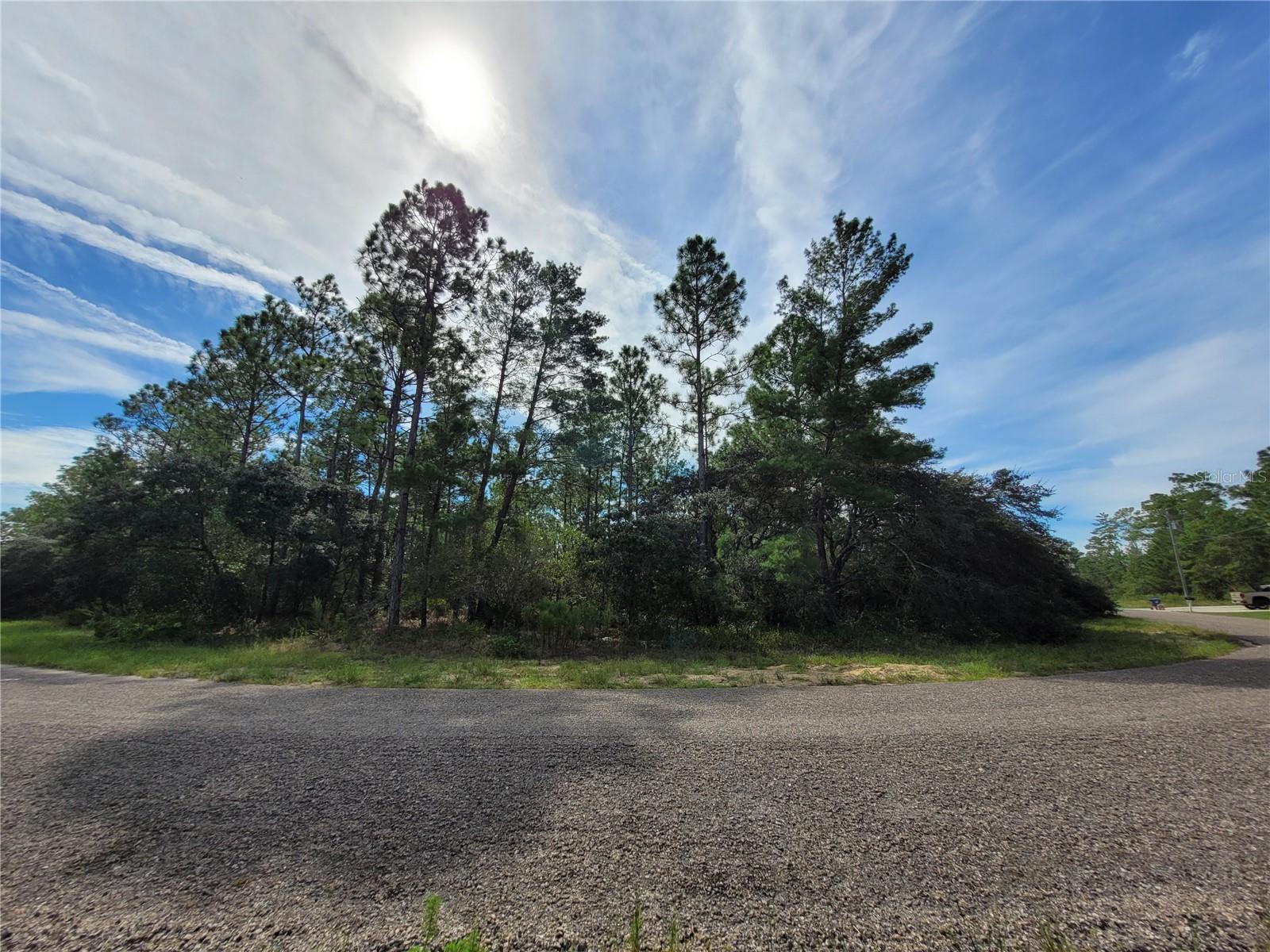 Listing photo id 7 for 8960 Farrington Drive