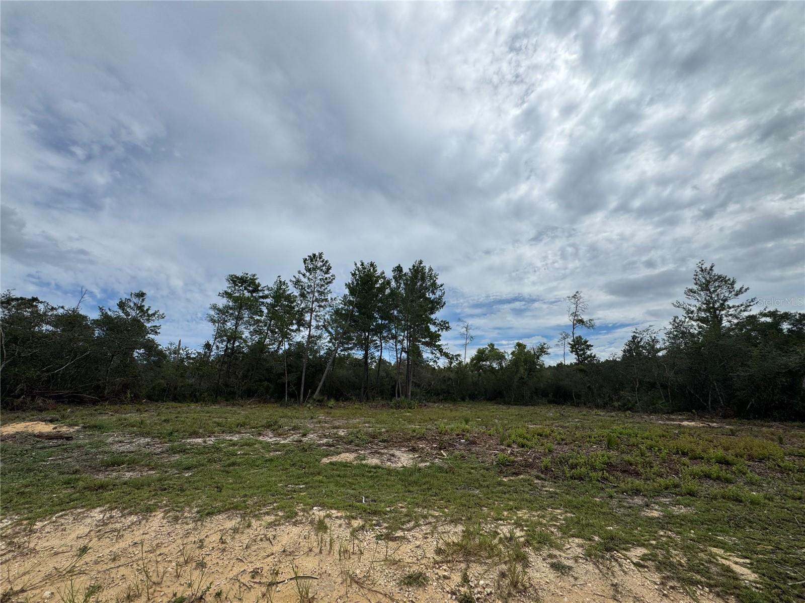 Details for  Ne 135th St  , SALT SPRINGS, FL 32134