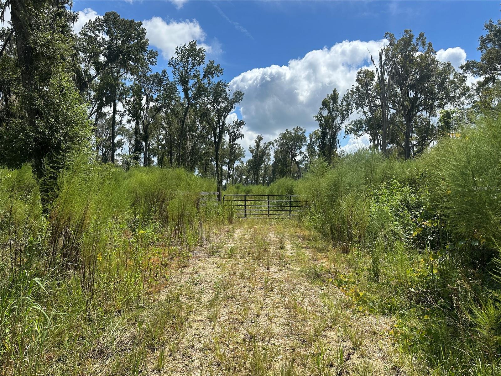 Image 5 of 13 For  Us 27 N 