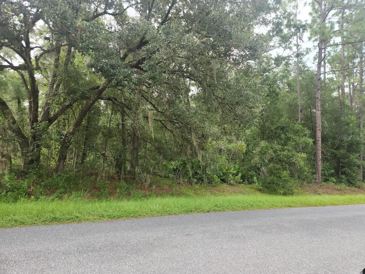 Details for Lot 3 61 St Place Road, OCALA, FL 34481