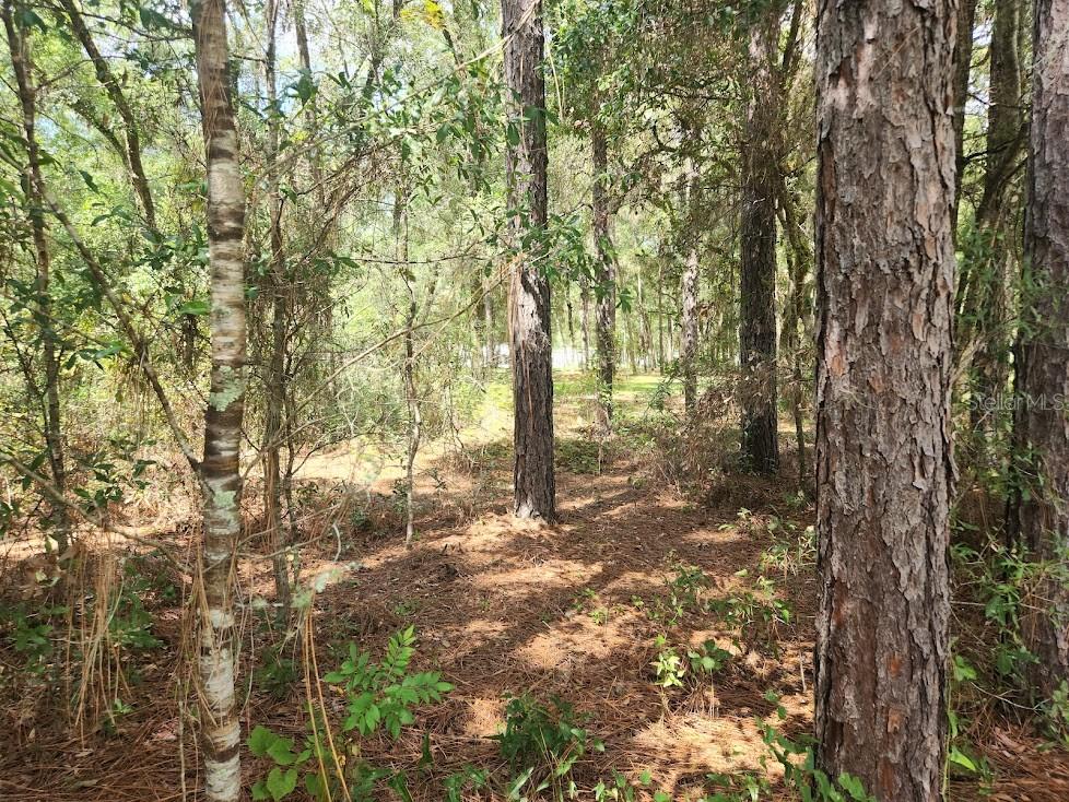 Image 10 of 24 For Lot 3 61 St Place Road