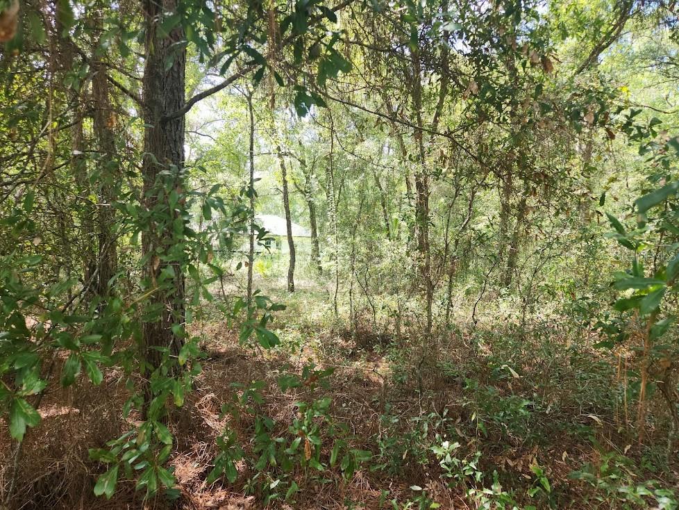 Image 11 of 24 For Lot 3 61 St Place Road